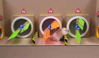 我的世界升降机