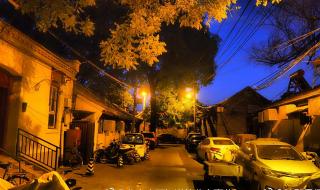 物竞天择适者生存 物竞天择适者生存